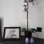 Bellavista Appartement