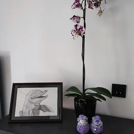 Bellavista Lägenhet