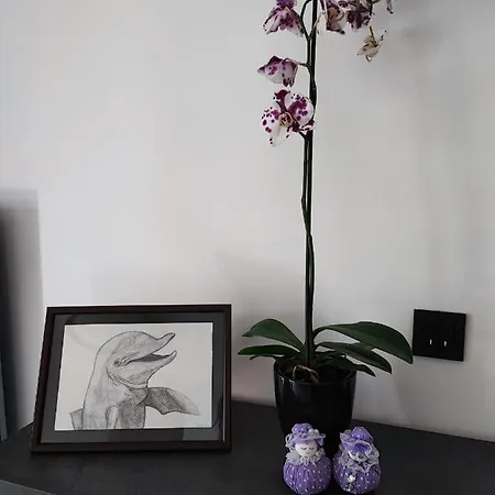 Bellavista Apartment