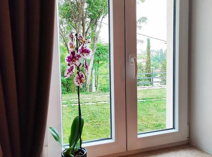 Bellavista * Κόπερ